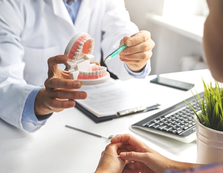 a patient consulting with a dentist while a dentist explains a model of a mouth